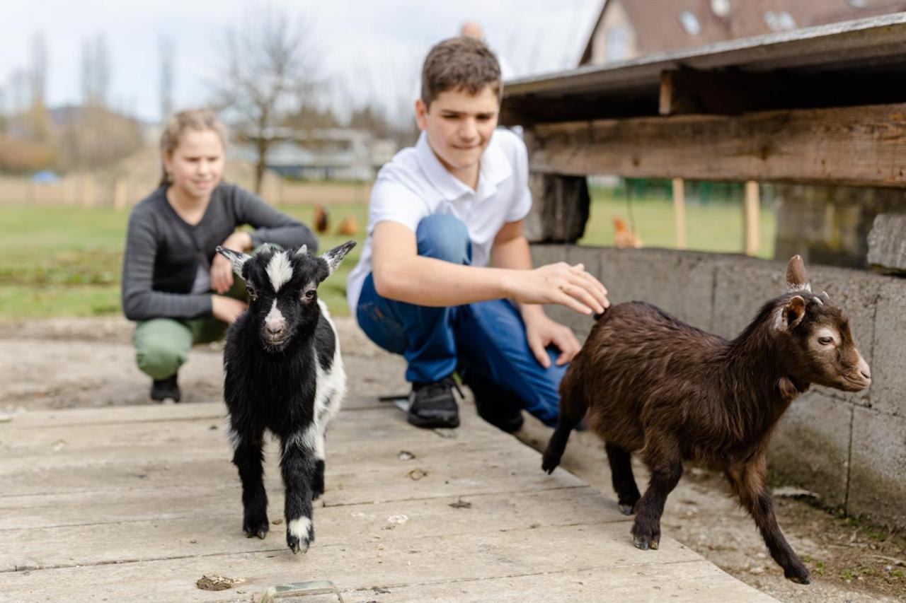 Gaestezimmer Das Hambammer Heimschuh Esterno foto